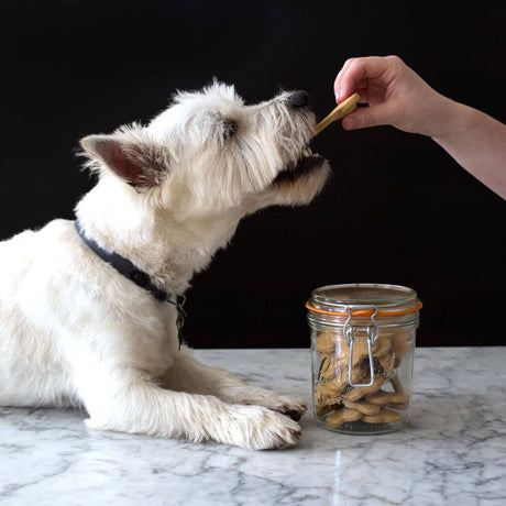 Food safety for dehydrated pet treats (US)