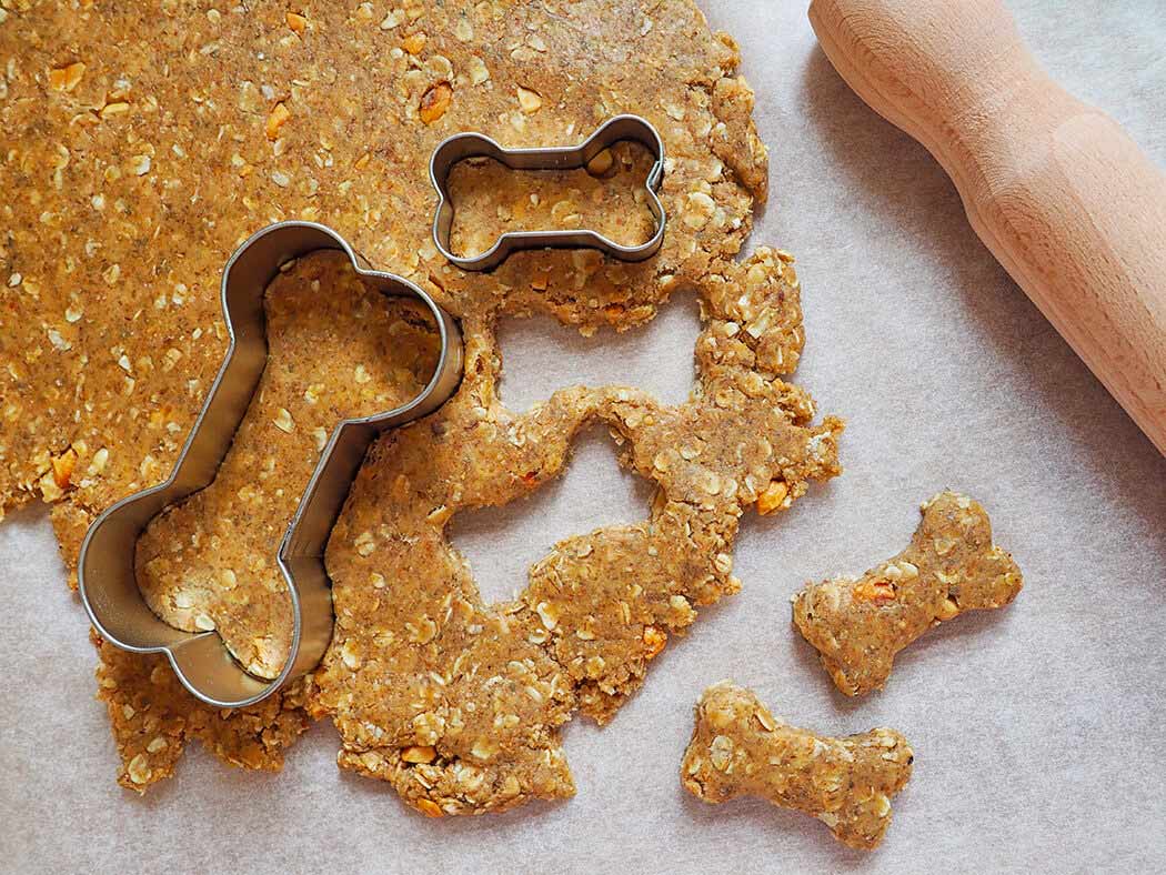 An Overview of the North American Pet Treat Industry