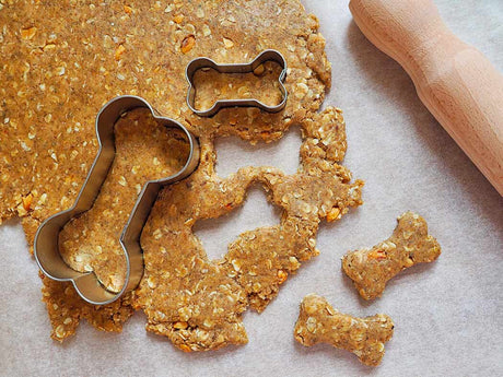 An Overview of the North American Pet Treat Industry